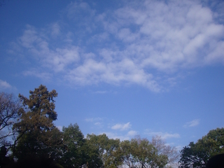 hiraoka2018-00.jpg