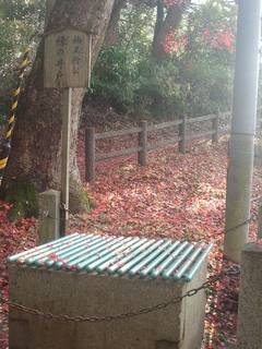 hiraoka2018-09.jpg