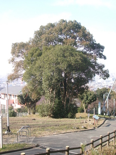 hiraoka_hiroba2.jpg