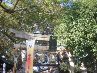 mitsushima1_201801.jpg