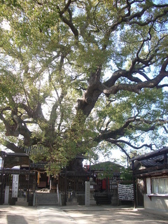 mitsushima_shrine1_201703.jpg