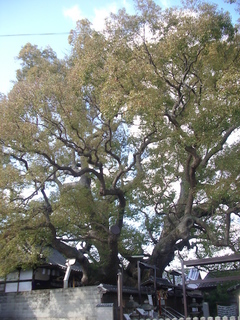 mitsushima_shrine3_201703.jpg