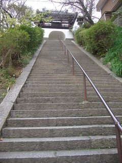 nozaki_kaidan3_201703.jpg