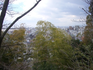 nozaki_view01_201703.jpg
