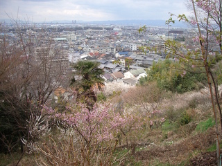 nozaki_view02_201703.jpg