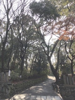 owaraishinji201912_01.jpg