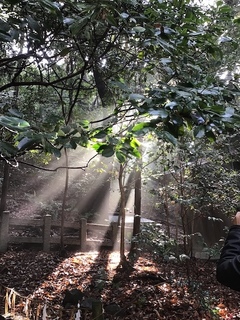 owaraishinji201912_08.jpg