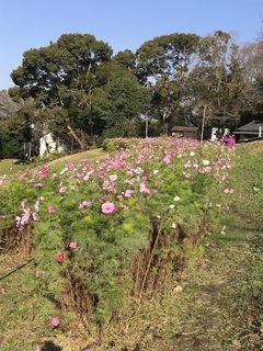 owaraishinji201912_11.jpg
