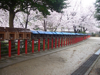 shikoku88_3_201704.jpg