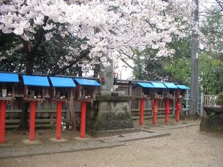 shikoku88_4_201704.jpg