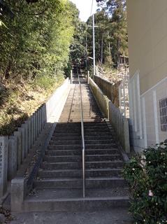 sumiyoshi_hirata2.jpg